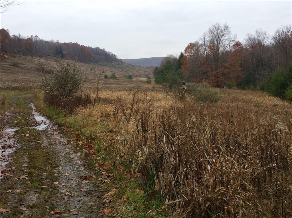 0 Hemlock Lake Road Rossiter, PA 15772 - Photo 6 of 8