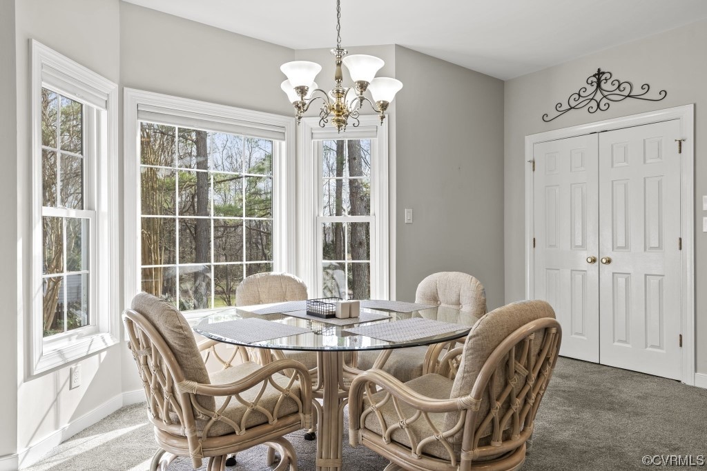 5603 Manitoba Road Chesterfield, VA 23832 - Photo 10 of 27 Gallery Image 10