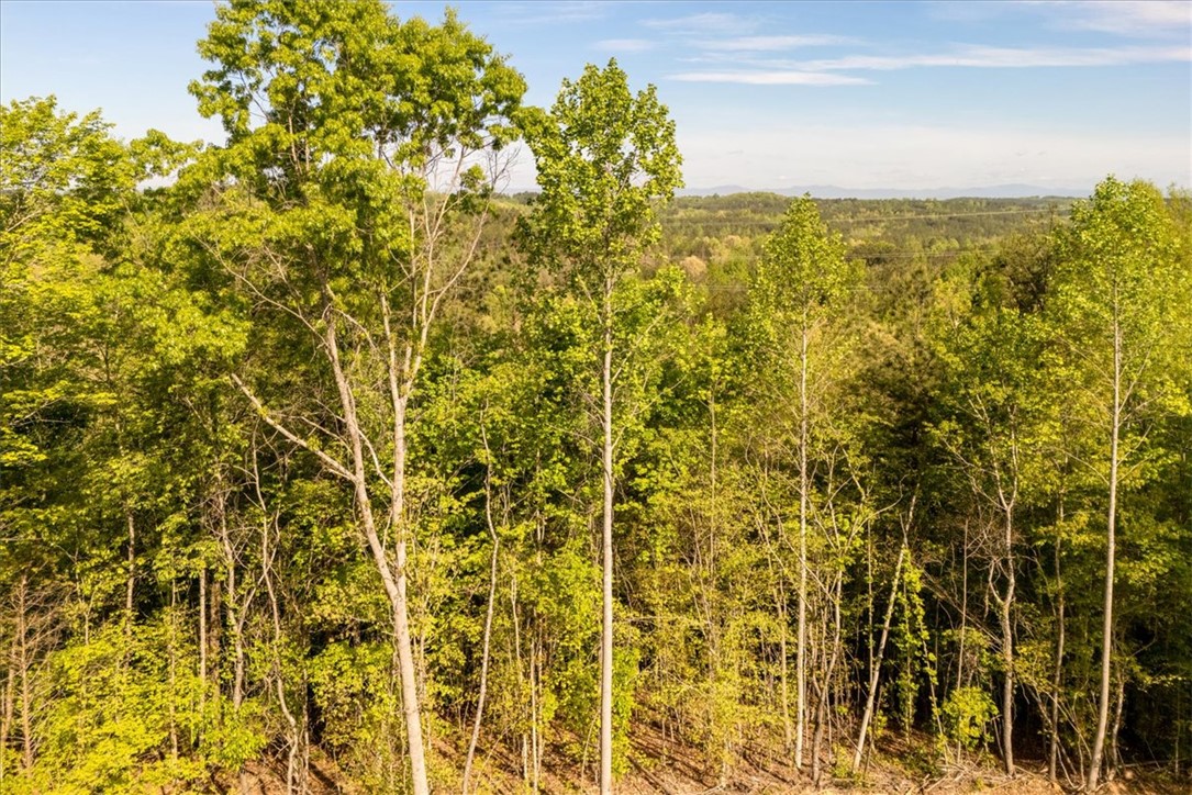 280 Dan Ross Road Six Mile, SC 29682 - Photo 11 of 24 This scenic land offers abundant tree coverage and sweeping views of distant hills.