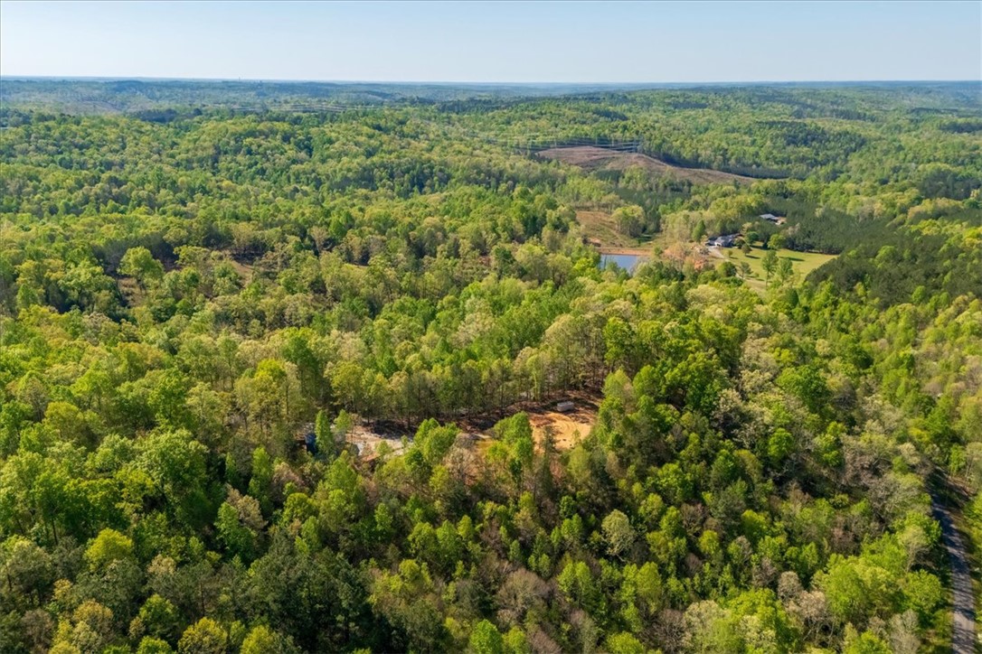280 Dan Ross Road Six Mile, SC 29682 - Photo 14 of 24 An aerial panorama reveals a vast, lush green landscape with a serene pond and distant residential homes.