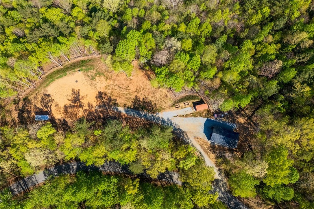 280 Dan Ross Road Six Mile, SC 29682 - Photo 16 of 24 This aerial view showcases a secluded property nestled amidst a vibrant, green forest.