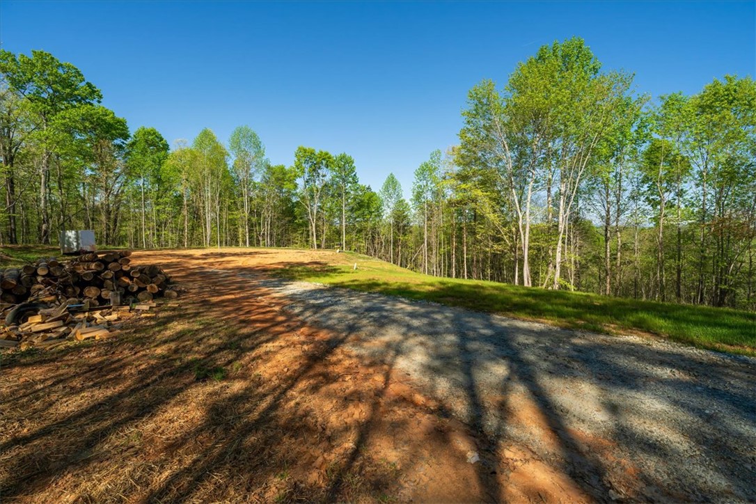 280 Dan Ross Road Six Mile, SC 29682 - Photo 18 of 24 A spacious lot with natural surroundings offers a serene escape, perfect for building your dream home.