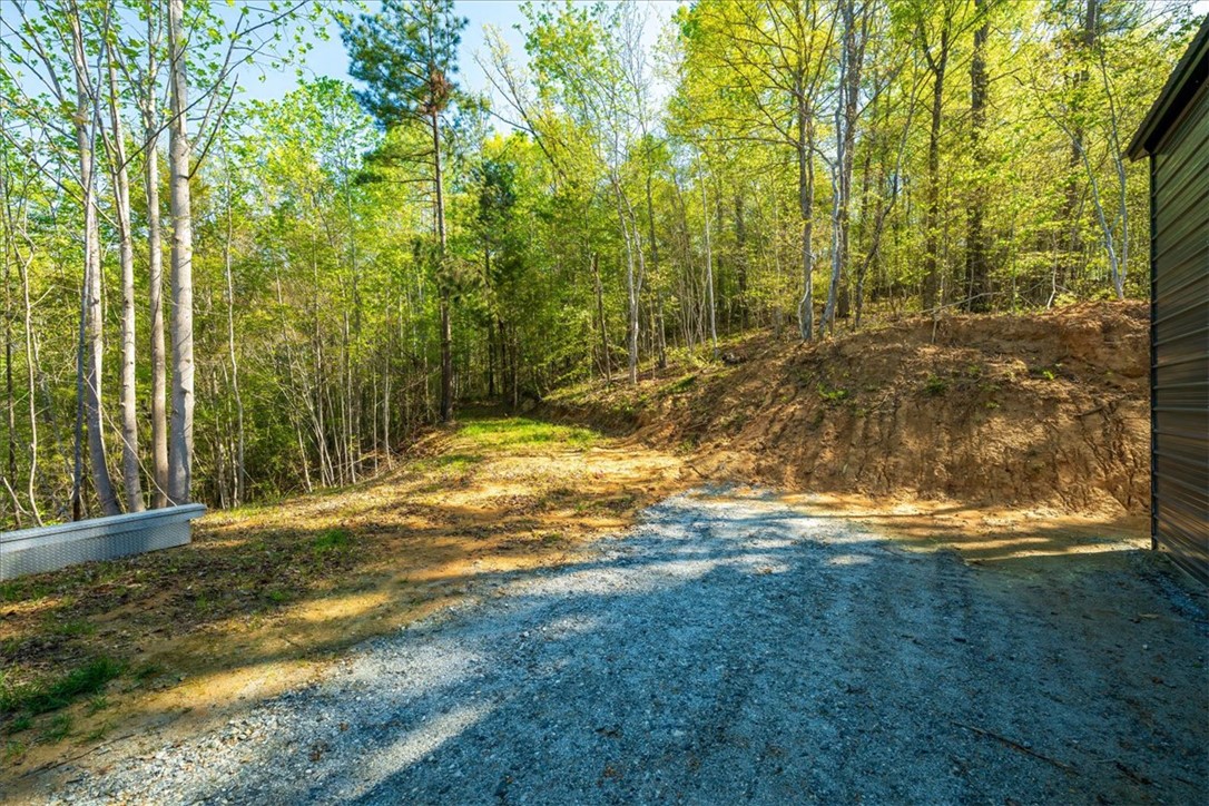 280 Dan Ross Road Six Mile, SC 29682 - Photo 19 of 24 This property features a tranquil wooded area, offering a private and serene setting.