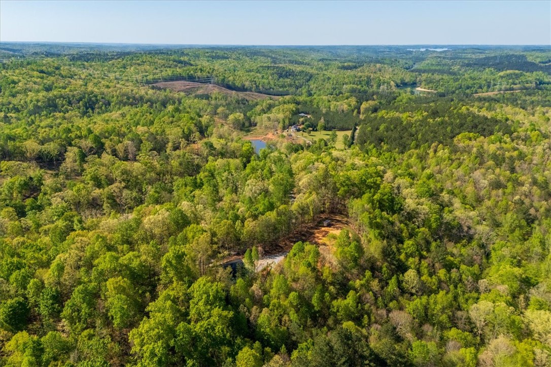 280 Dan Ross Road Six Mile, SC 29682 - Photo 20 of 24 This verdant landscape showcases a tranquil pond, offering a serene escape amidst nature.