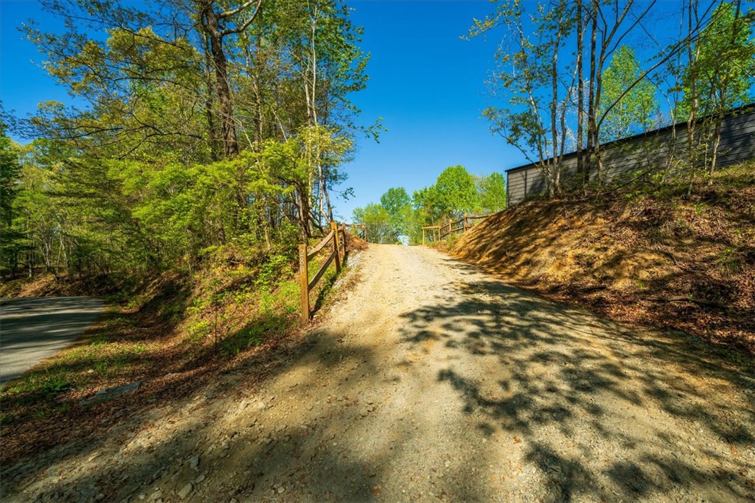 280 Dan Ross Road Six Mile, SC 29682 - Photo 2 of 24 A winding gravel road leads through a lush, tree-lined landscape under a bright sky.