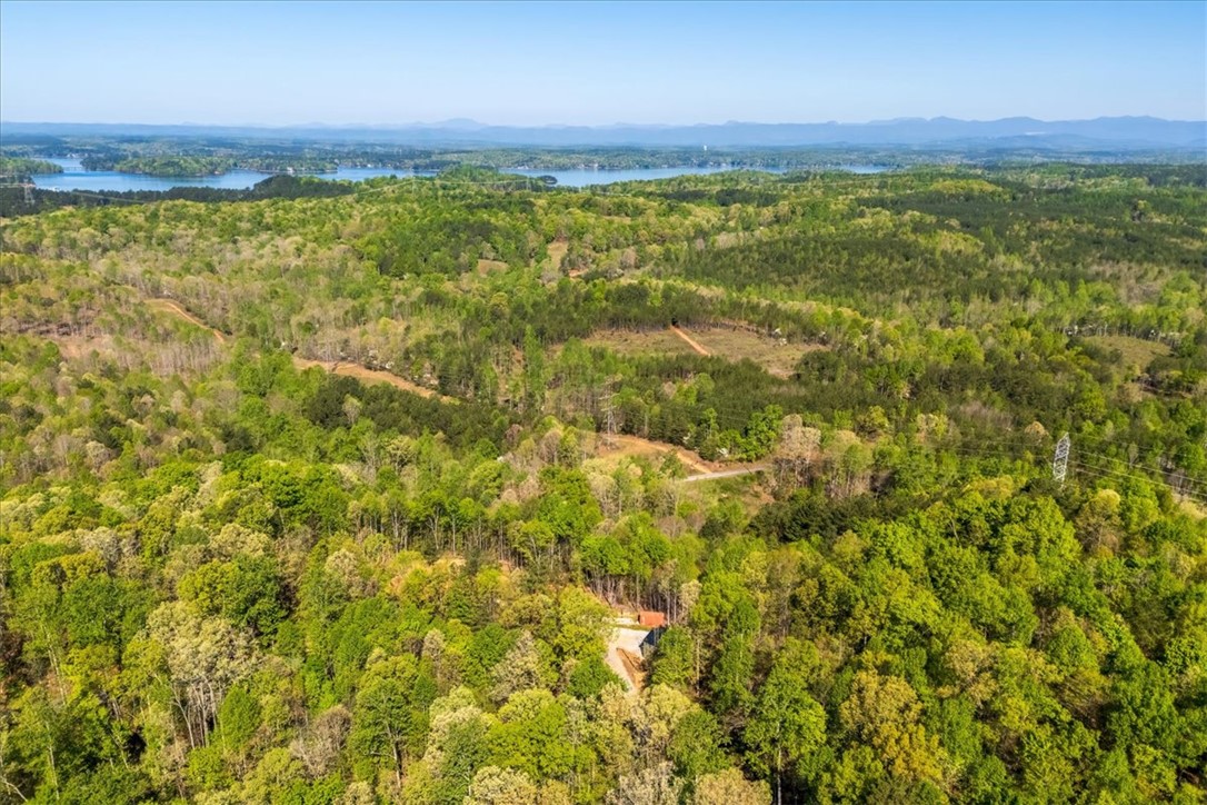 280 Dan Ross Road Six Mile, SC 29682 - Photo 23 of 24 This aerial view showcases a vibrant landscape with a lake and lush woodlands.