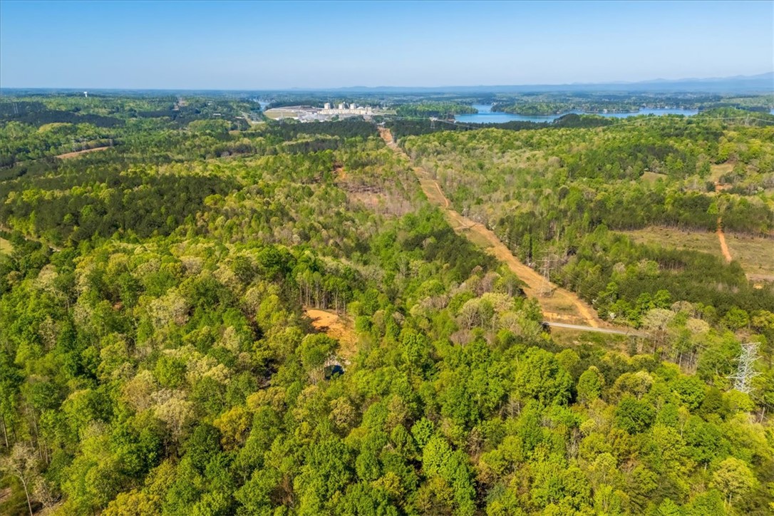 280 Dan Ross Road Six Mile, SC 29682 - Photo 7 of 24 This elevated view captures a sprawling landscape of lush woodlands and distant waters, offering endless possibilities.
