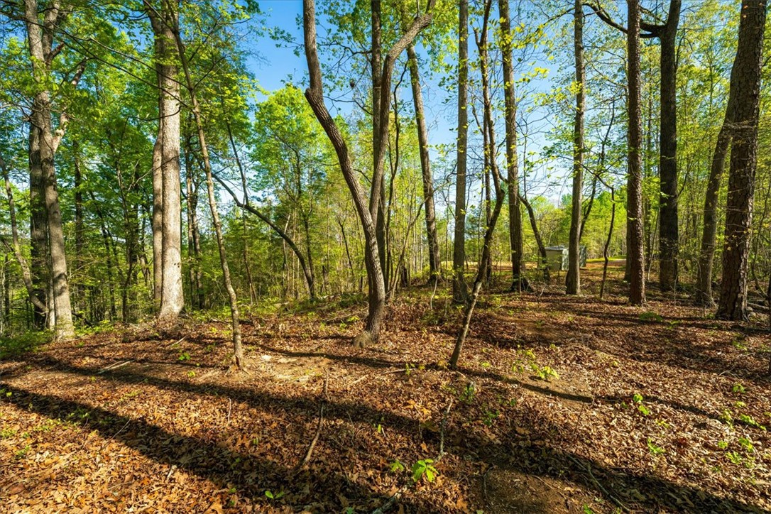 280 Dan Ross Road Six Mile, SC 29682 - Photo 8 of 24 This tranquil wooded lot offers a peaceful retreat with abundant natural beauty and mature trees.
