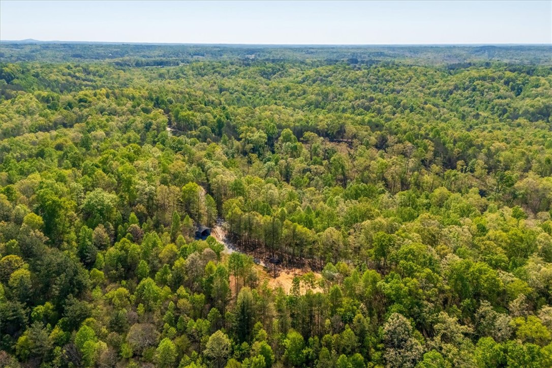 280 Dan Ross Road Six Mile, SC 29682 - Photo 9 of 24 This elevated view captures a serene expanse of lush forest, perfect for a private retreat.