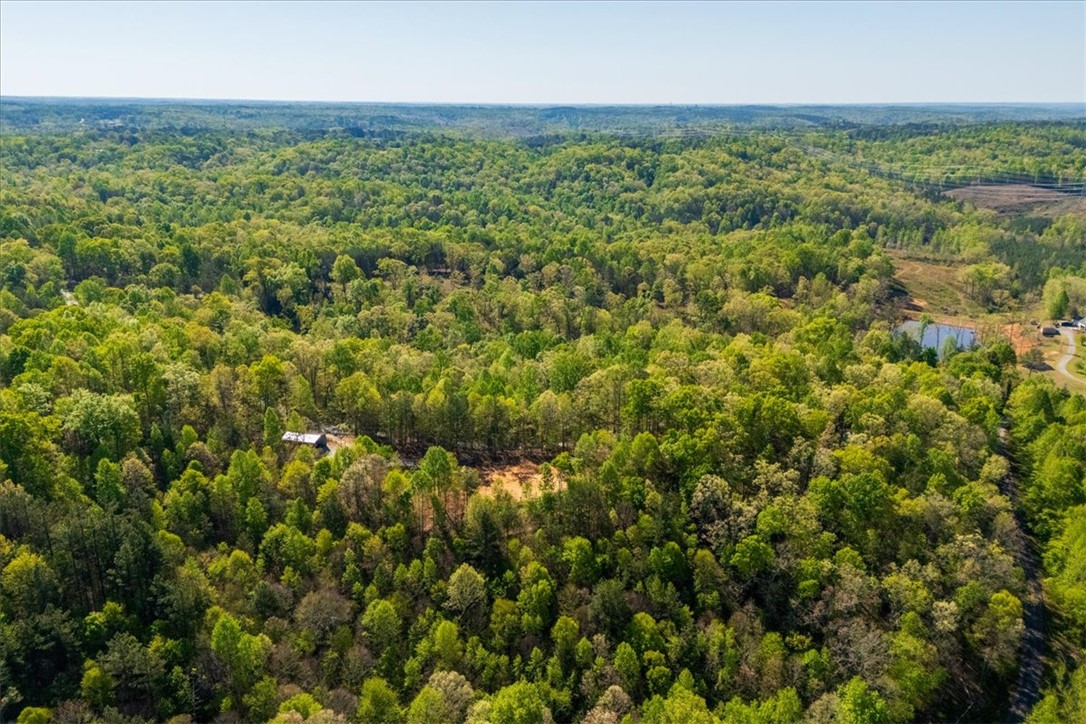 280 Dan Ross Road Six Mile, SC 29682 - Photo 10 of 24 This verdant landscape showcases a tranquil retreat nestled amidst lush forestry and a serene pond.