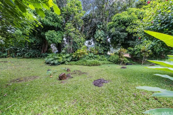 a view of a table and chairs in the garden