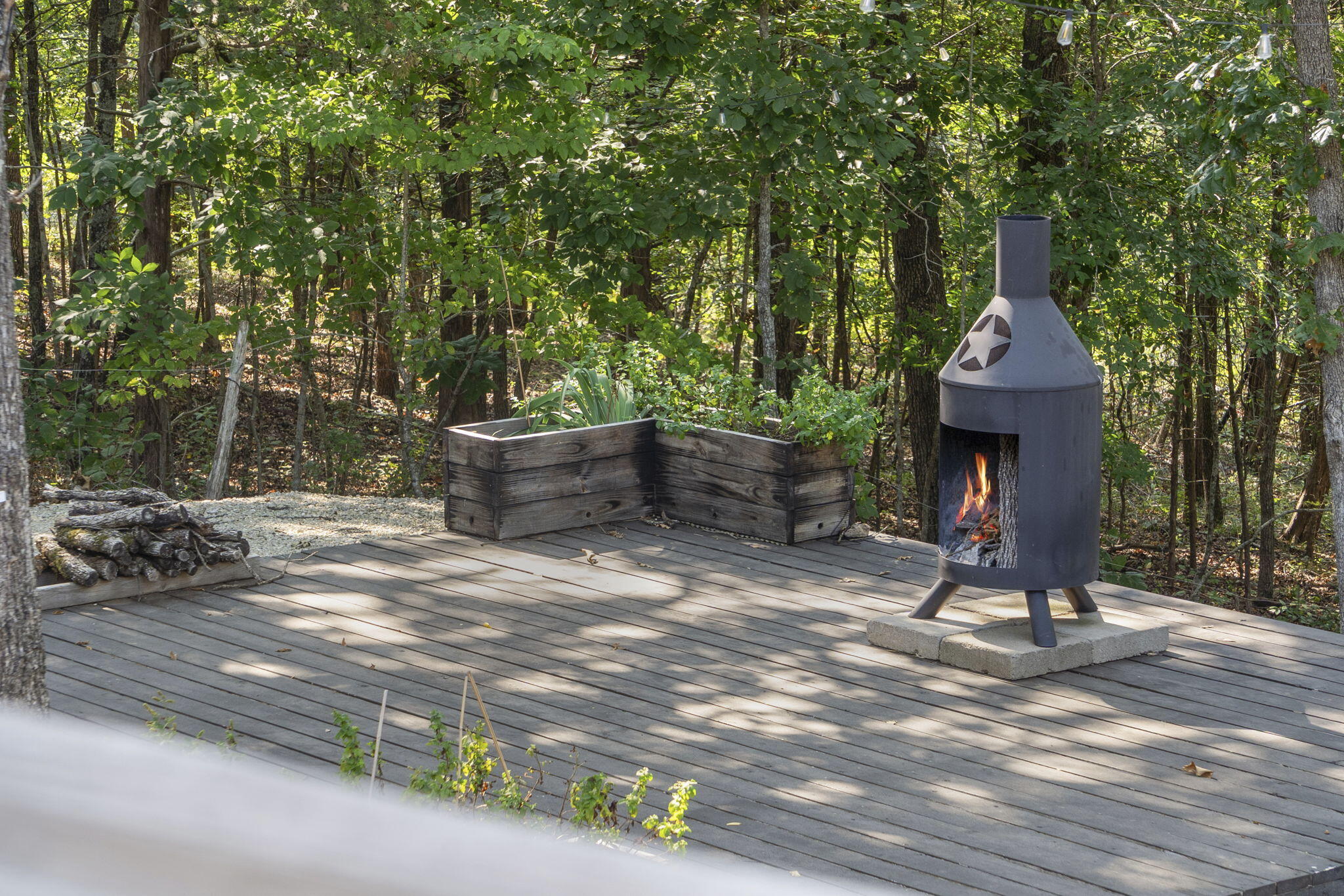 535 Taneycomo Road Branson, MO 65616 - Photo 58 of 73 535 Taneycomo Road (47)