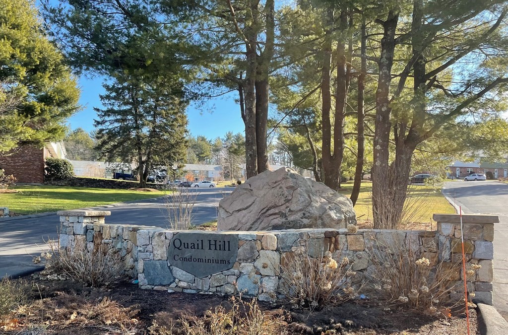20 Hemlock Circle, Unit 20 Millis, MA 02054 - Photo 27 of 27 a view of swimming pool with a yard and large trees
