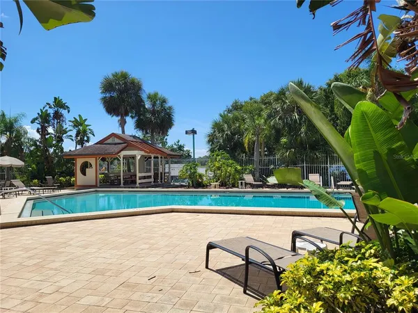 a view of swimming pool with sitting area and palm trees