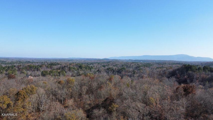 41 Athens Road Delano, TN 37325 - Photo 22 of 34