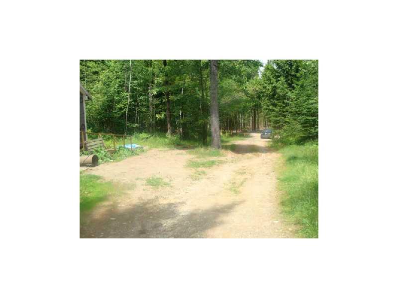 121 Pickerel Pond Road Greenbush, ME 04418 - Photo 7 of 11 Yard/Garden.