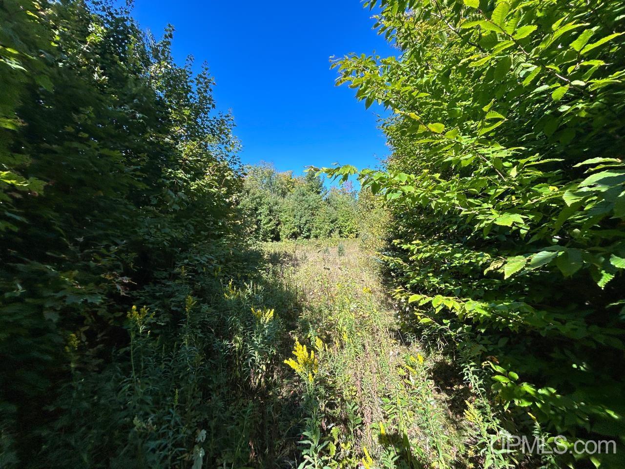 40-acres 40-acres Camp Road Shingleton, MI 49884 - Photo 16 of 20