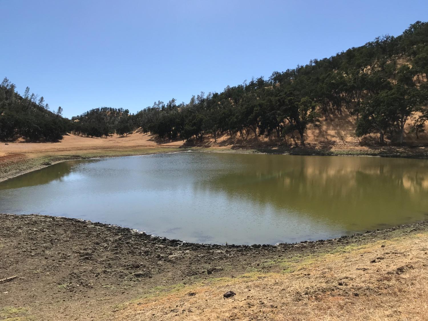 a view of a lake from a beach