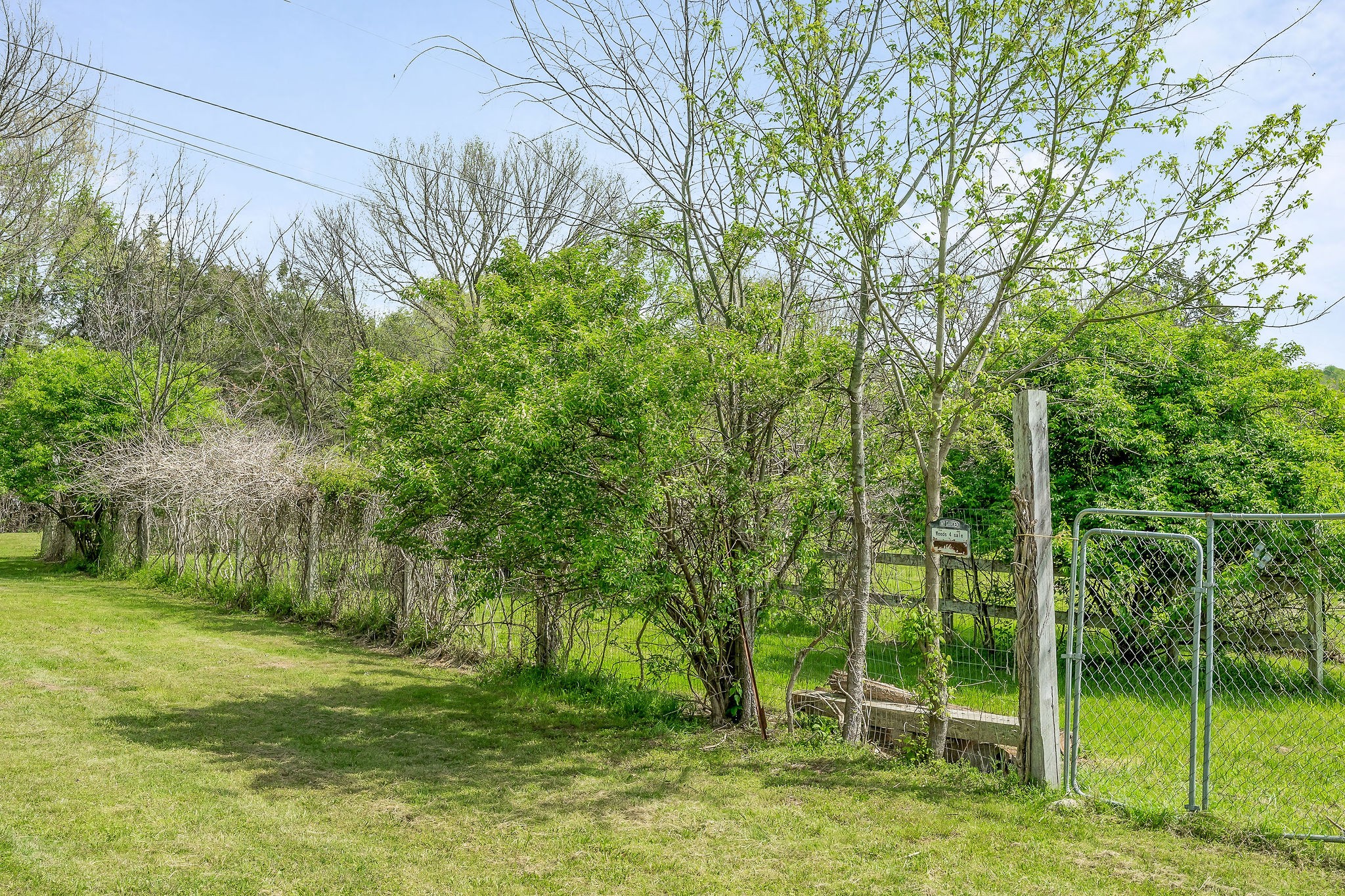 134 Opossum Hollow Road Watertown, TN 37184 - Photo 23 of 41 a view of a park with large trees