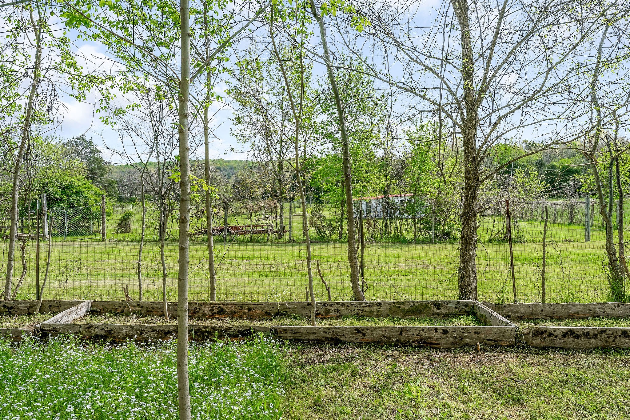 134 Opossum Hollow Road Watertown, TN 37184 - Photo 25 of 41 a view of a garden