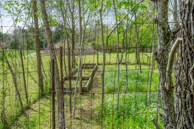 a view of backyard with green space