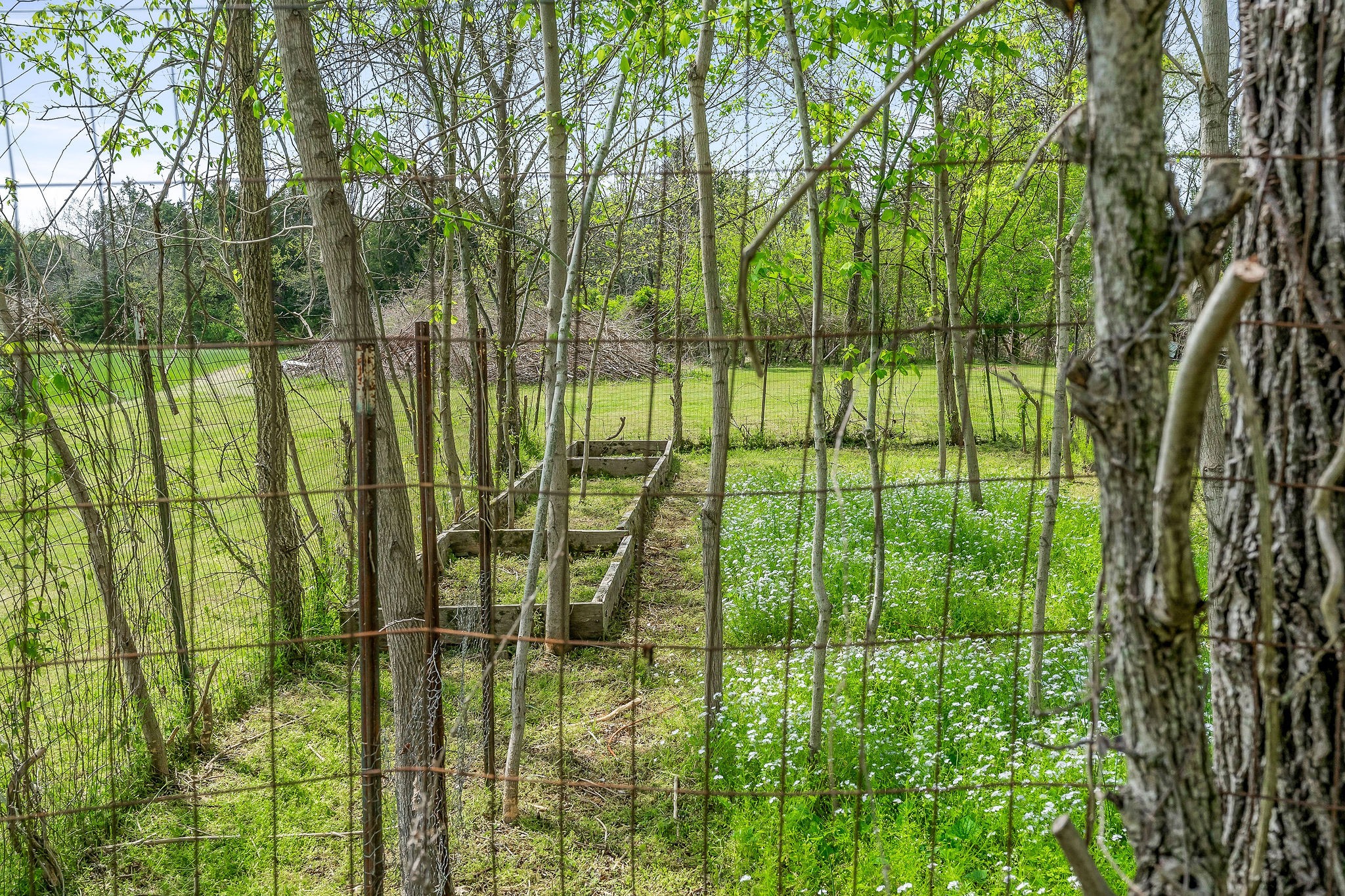 134 Opossum Hollow Road Watertown, TN 37184 - Photo 26 of 41 a view of swimming pool from a balcony