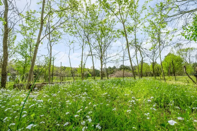 a view of outdoor space and yard