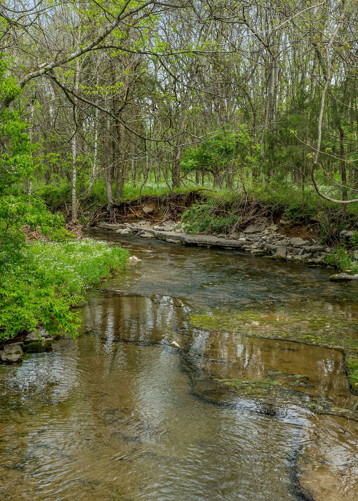 134 Opossum Hollow Road Watertown, TN 37184 - Photo 29 of 41 a view of a lake view