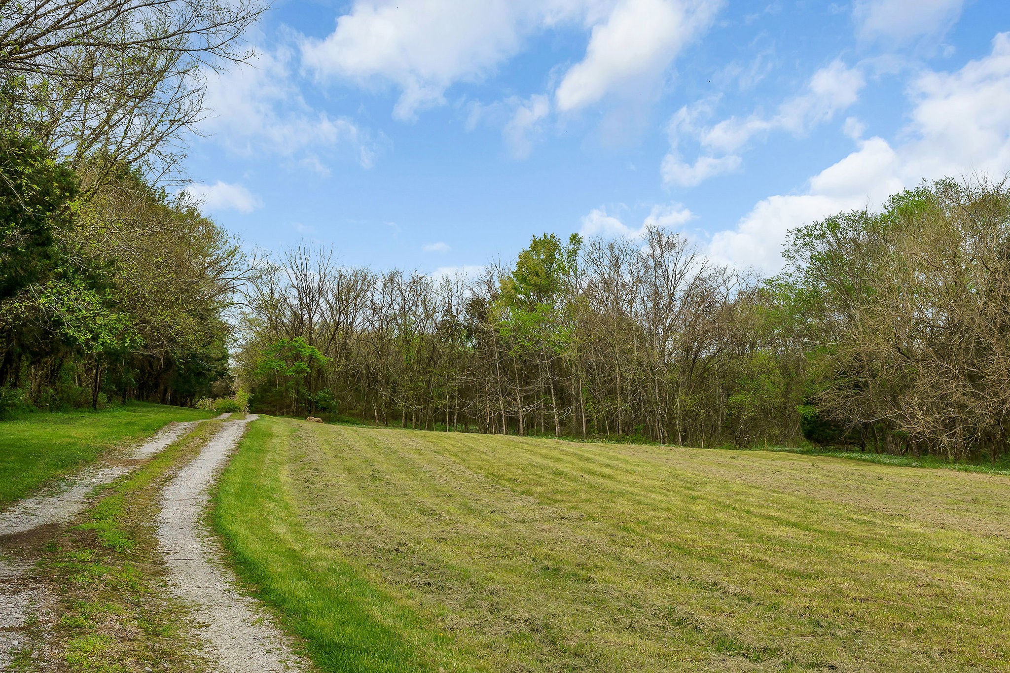 134 Opossum Hollow Road Watertown, TN 37184 - Photo 30 of 41 a view of basketball court