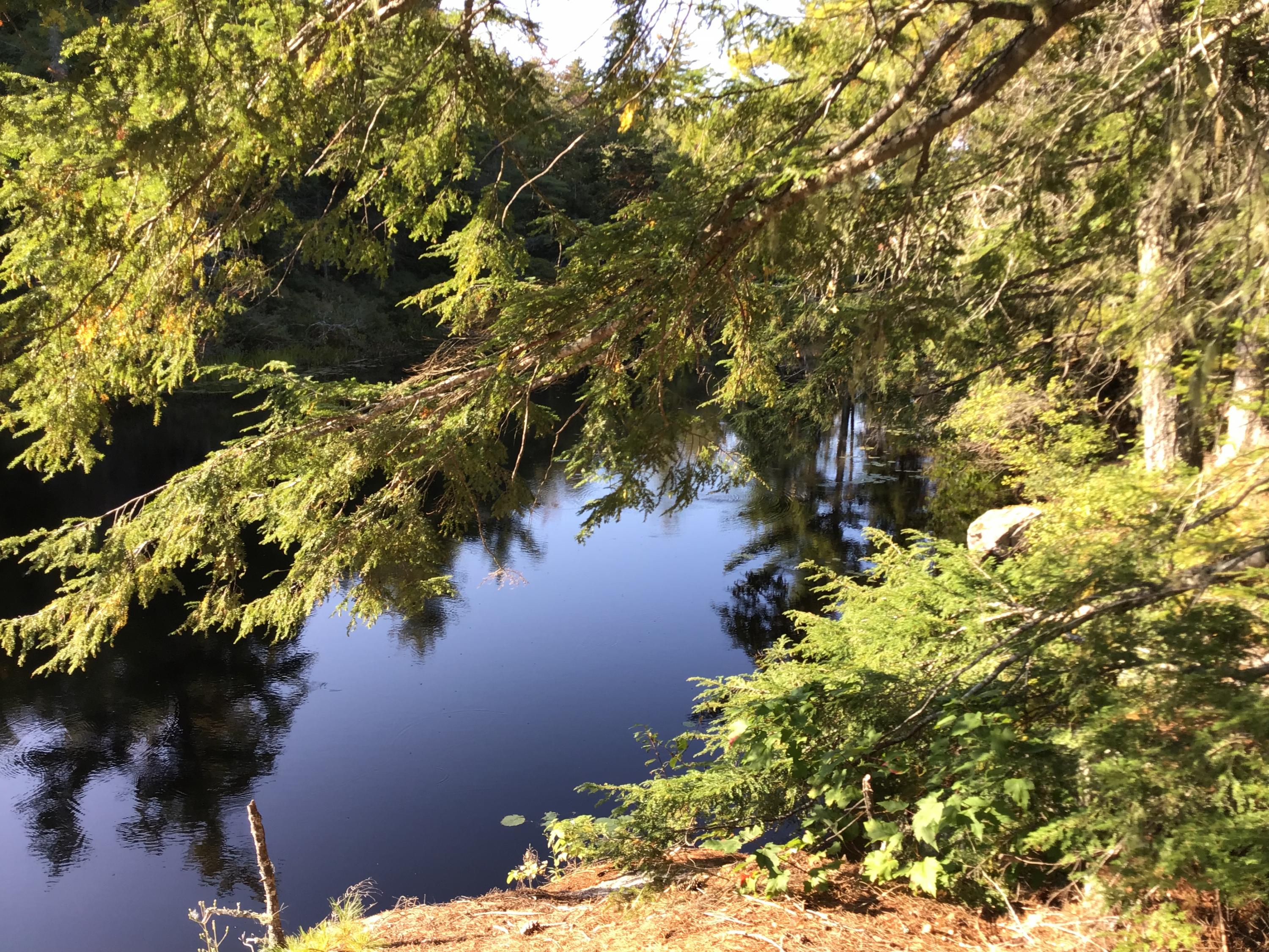 200 Stony Hill Road Ellsworth, ME 04605 - Photo 14 of 18 IMG_1942