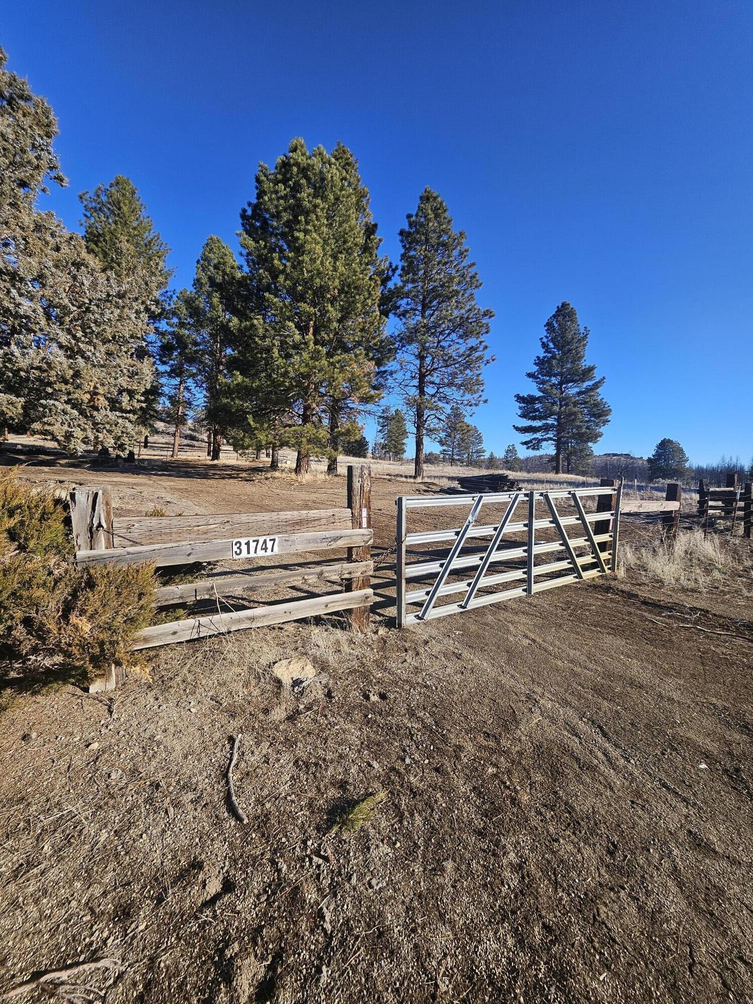 31747 Godowa Springs Road Beatty, OR 97621 - Photo 12 of 23 20260117_095059