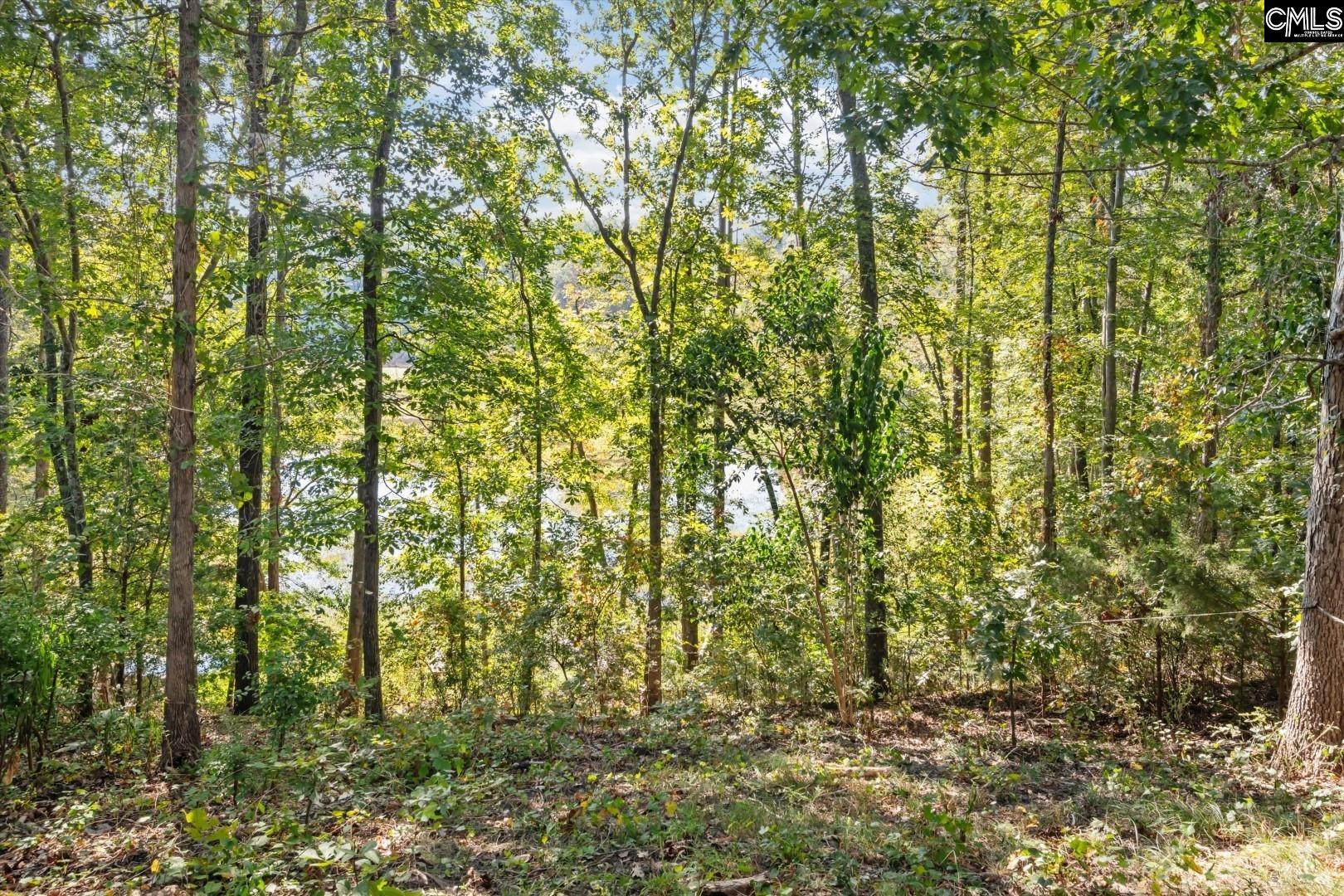 573 Canasta Drive Gilbert, SC 29054 - Photo 37 of 37