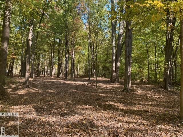 Parcel #1 Smith Road Mount Clemens, MI 48043 - Photo 2 of 8 Gallery Image 2