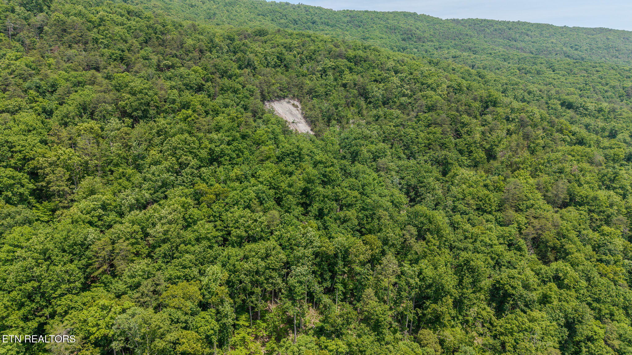 Poor Valley Road Rutledge, TN 37861 - Photo 4 of 9 3-web-or-mls-DJI_20260519123234_0259_D