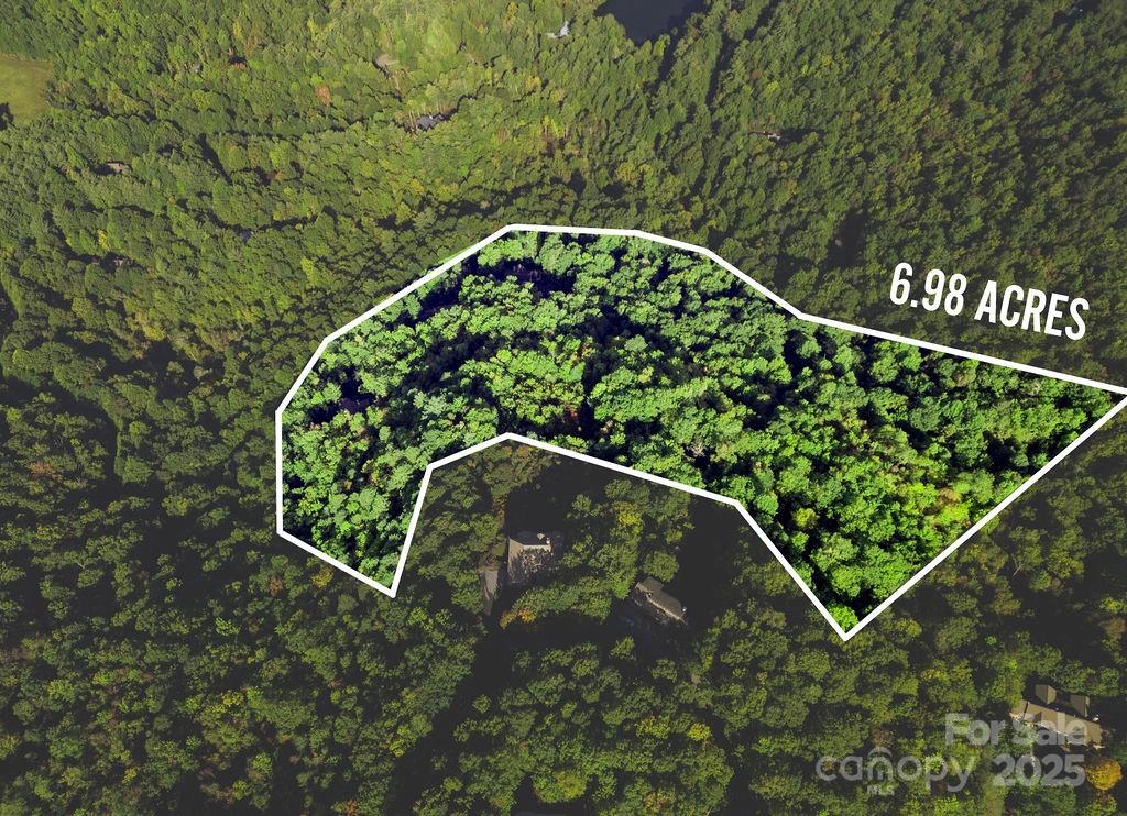 Tbd Rock Face Road, Unit L299 Brevard, NC 28712 - Photo 2 of 13