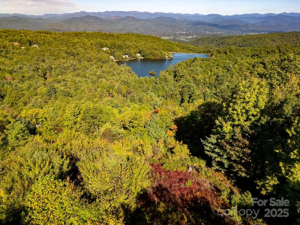 Tbd Rock Face Road, Unit L299 Brevard, NC 28712 - Photo 4 of 13