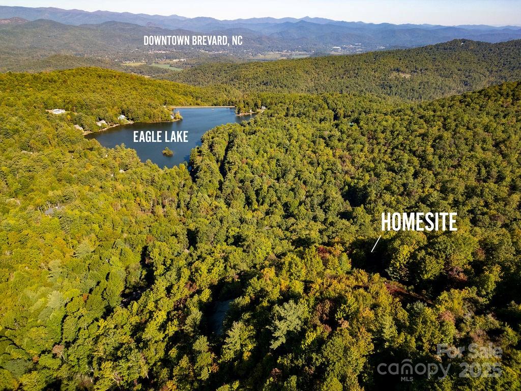 Tbd Rock Face Road, Unit L299 Brevard, NC 28712 - Photo 5 of 13