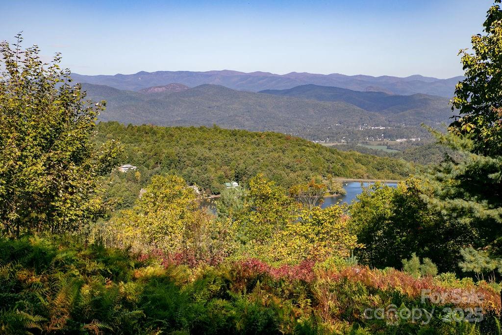 Tbd Rock Face Road, Unit L299 Brevard, NC 28712 - Photo 7 of 13