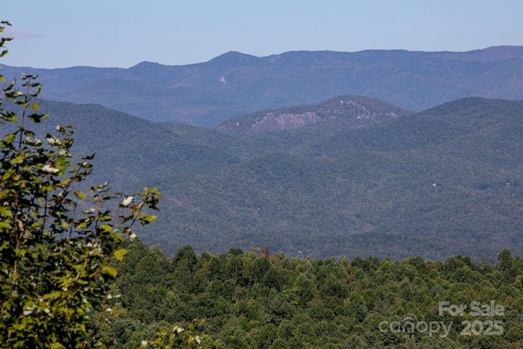 Tbd Rock Face Road, Unit L299 Brevard, NC 28712 - Photo 8 of 13