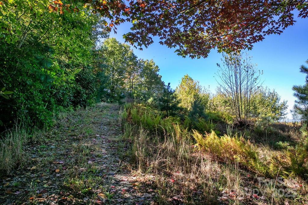 Tbd Rock Face Road, Unit L299 Brevard, NC 28712 - Photo 10 of 13