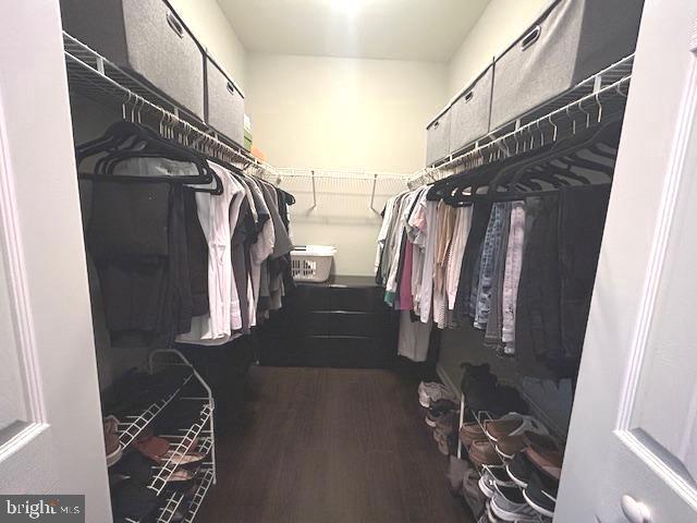 13675 Philmont Avenue, Unit 7 Philadelphia, PA 19116 - Photo 23 of 47 a view of walk in closet with clothes and shoes