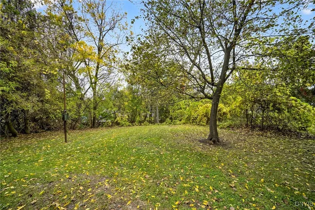 $290,000 | 250 Jamesville Avenue, Syracuse, NY 13210