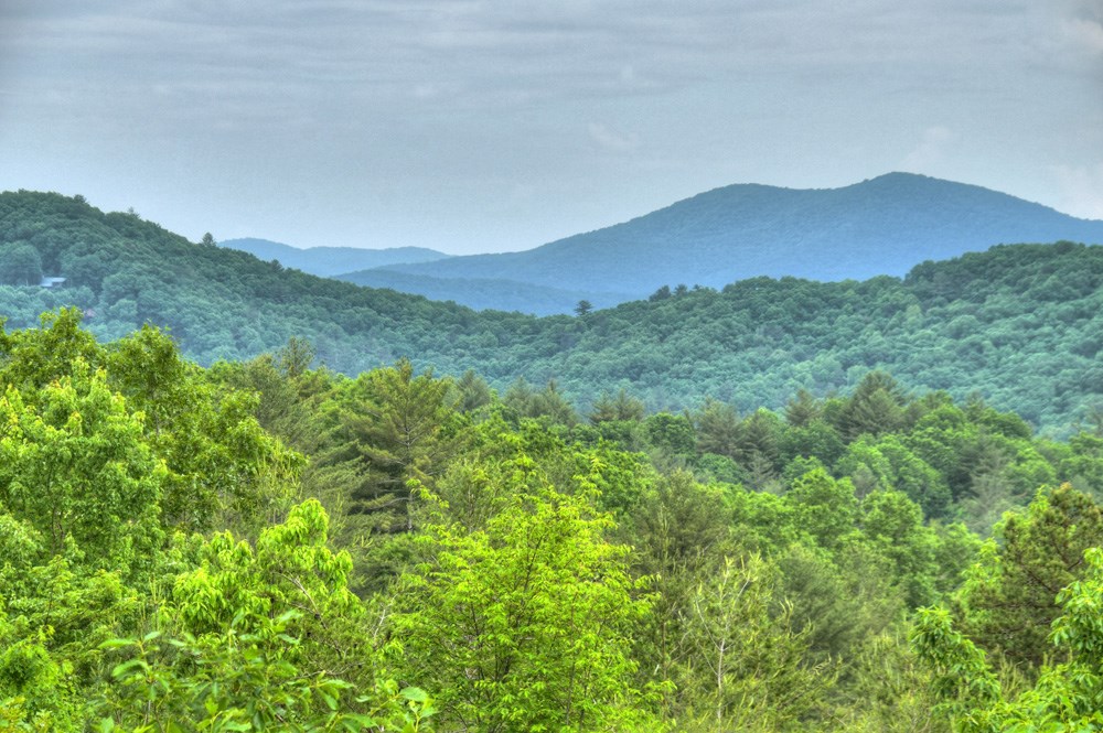 436 Geronimo Road Cherry Log, GA 30522 - Photo 28 of 72 a view of a mountain range with lush green forest
