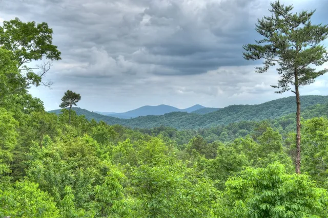 $1,775,000 | 436 Geronimo Road, Cherry Log, GA 30522