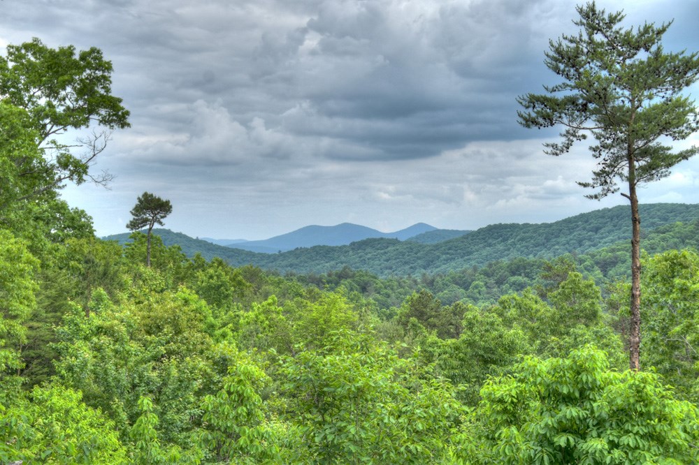 436 Geronimo Road Cherry Log, GA 30522 - Photo 5 of 72