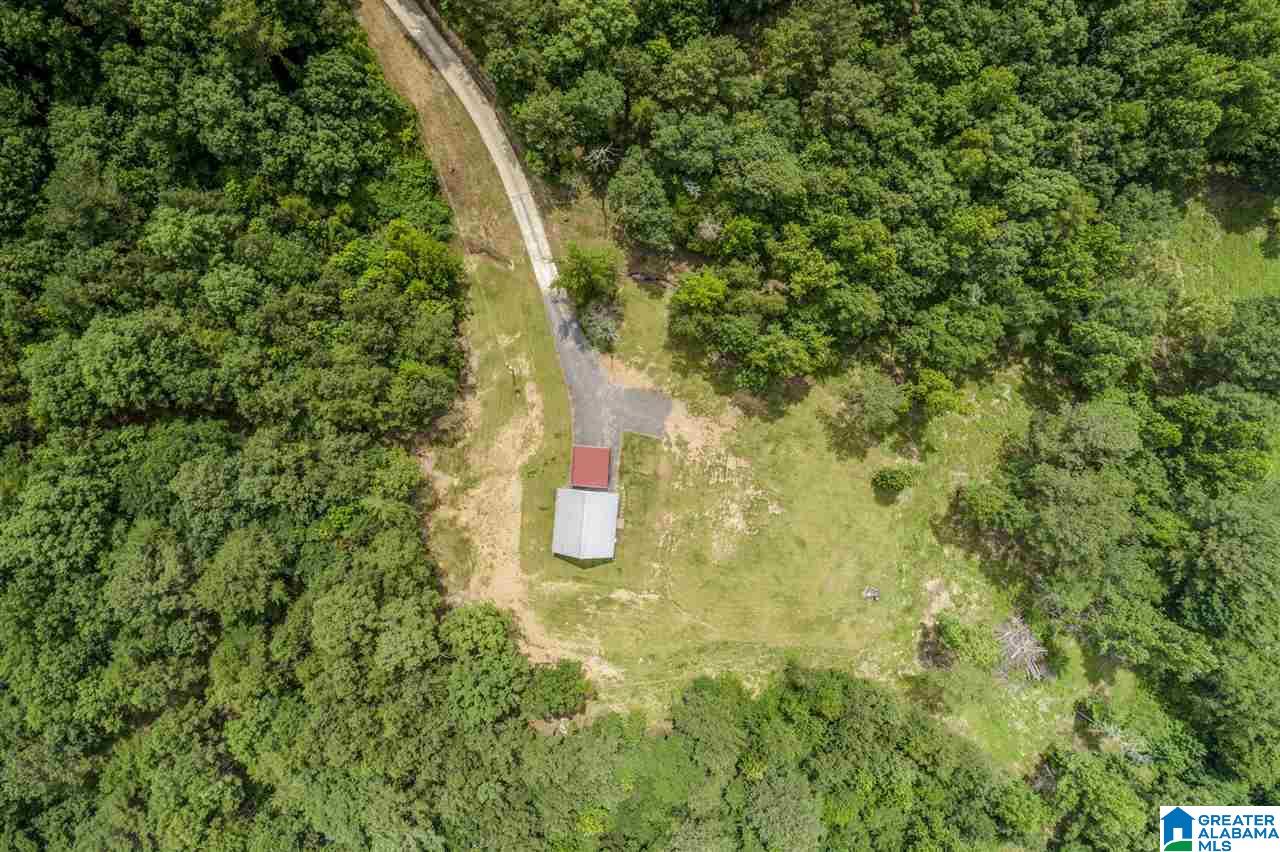 3851 Humber Road Dora, AL 35062 - Photo 5 of 35