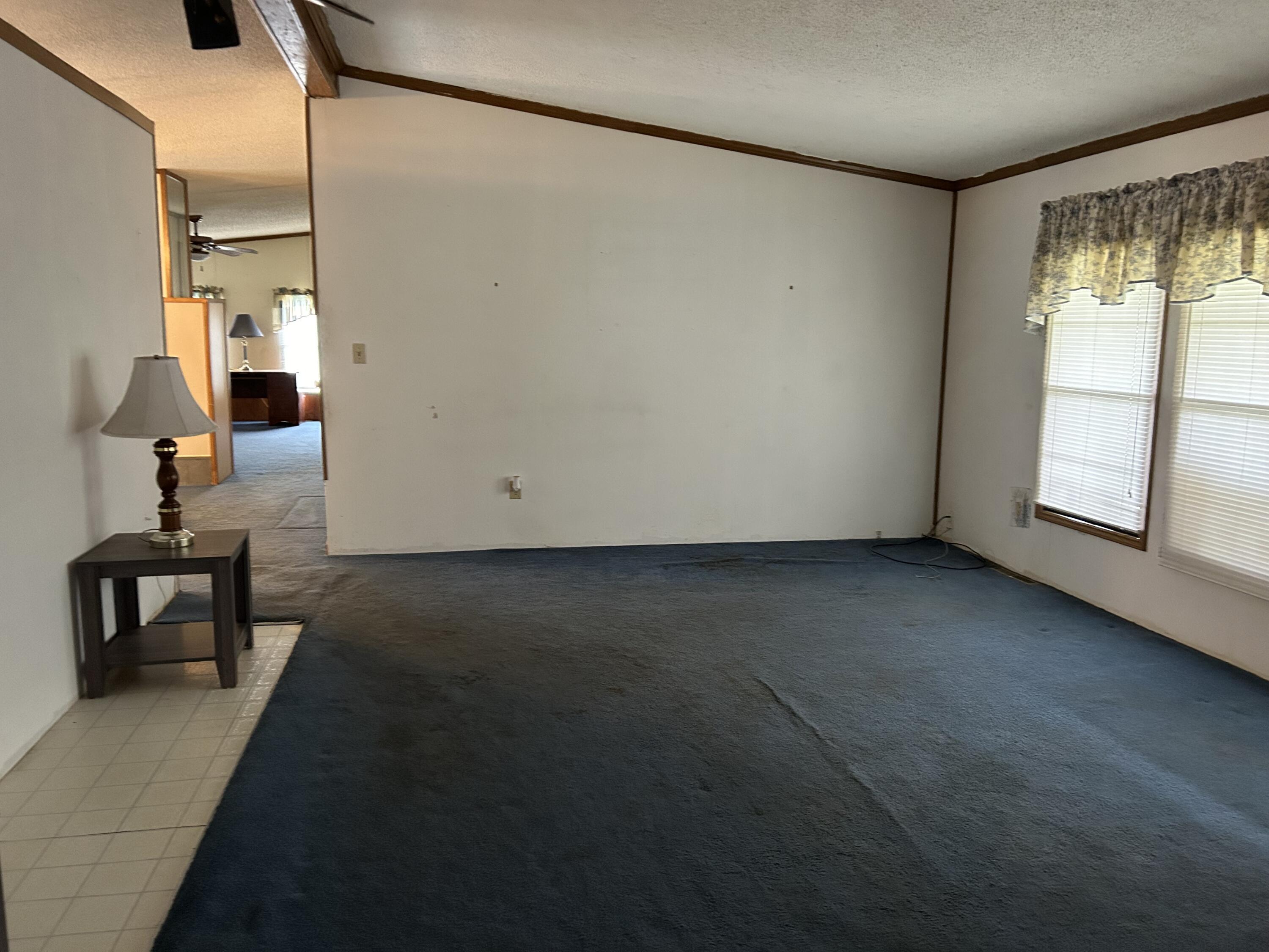 61064 Wayne Road Burr Oak, MI 49030 - Photo 15 of 21 IMG_2973