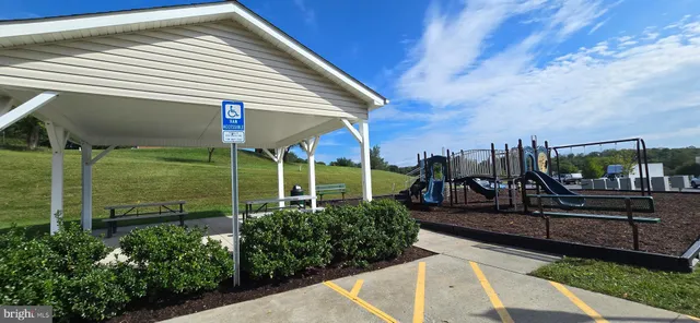 a view of a park with large trees