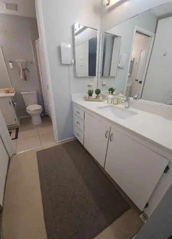 a bathroom with a sink a toilet a mirror and vanity