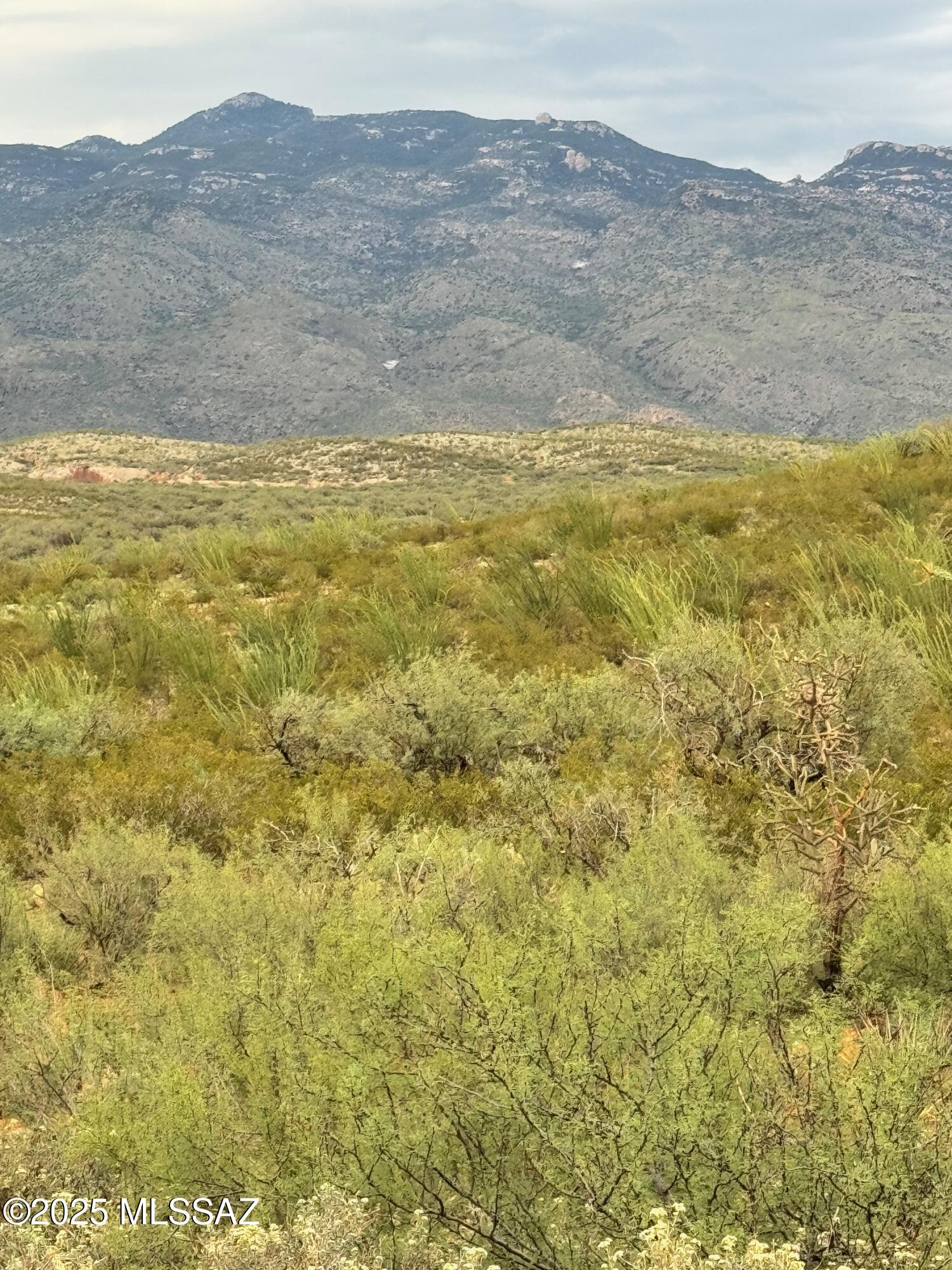 0 Justa Road Vail, AZ 85641 - Photo 18 of 44